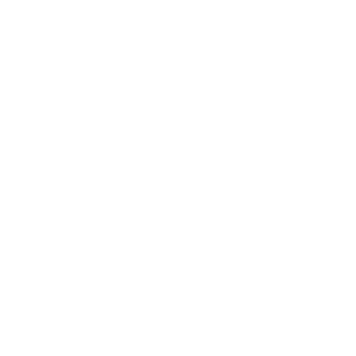 Coin 12